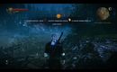 Witcher2_2011-10-06_18-05-40-97